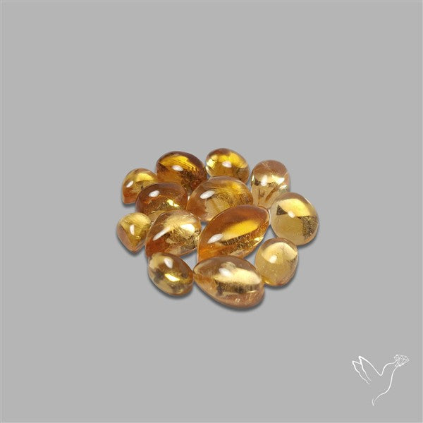 Natural Bicolor Citrine Cabochons Lot