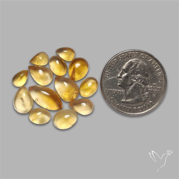 Natural Bicolor Citrine Cabochons Lot