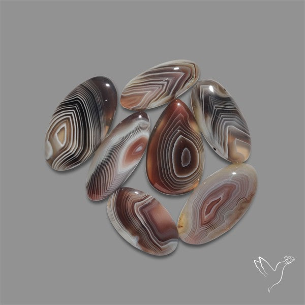 Botswana Agate Cabochons Lot