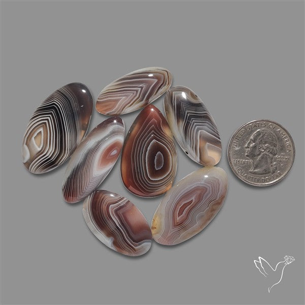 Botswana Agate Cabochons Lot