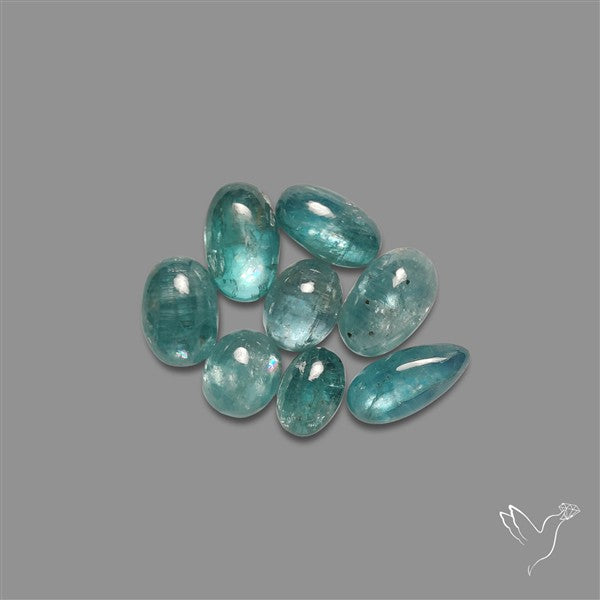 Paraiba Blue Kyanite Cabochons Lot