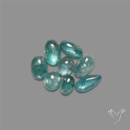 Paraiba Blue Kyanite Cabochons Lot