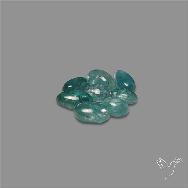 Paraiba Blue Kyanite Cabochons Lot