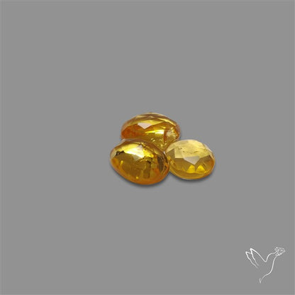 Rose Cut Citrine Quartz Lot