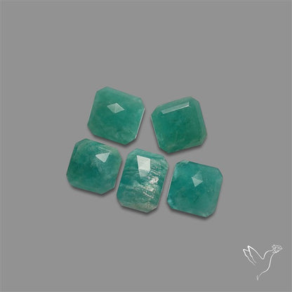 Rose Cut Peruvian Amazonite Lot