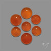 Carnelian Agate Rounds Lot
