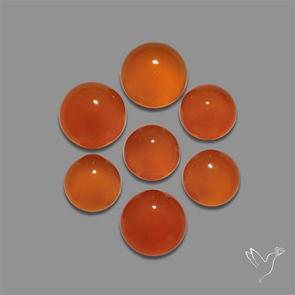 Carnelian Agate Rounds Lot