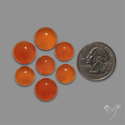 Carnelian Agate Rounds Lot