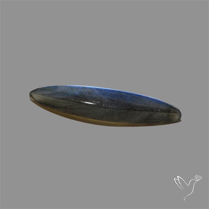 Blue Labradorite Cabochon