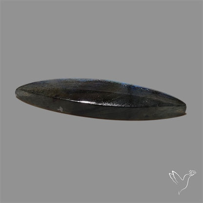 Blue Labradorite Cabochon