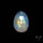 Rose Cut Rainbow Moonstone