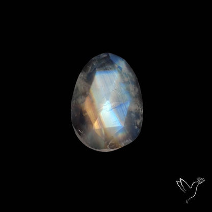 Rose Cut Rainbow Moonstone
