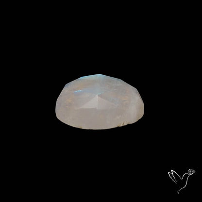 Rose Cut Rainbow Moonstone