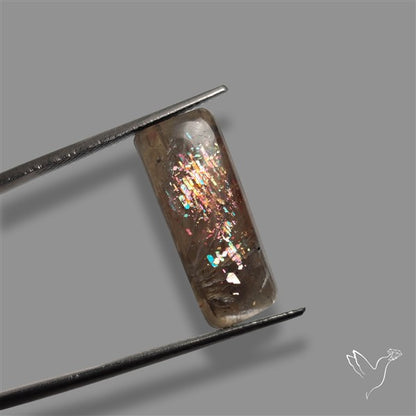 Black Moonstone With Sunstone Inclusions Cabochon