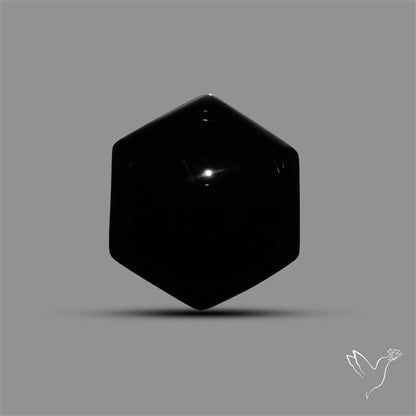 Black Onyx Smooth Cabochon