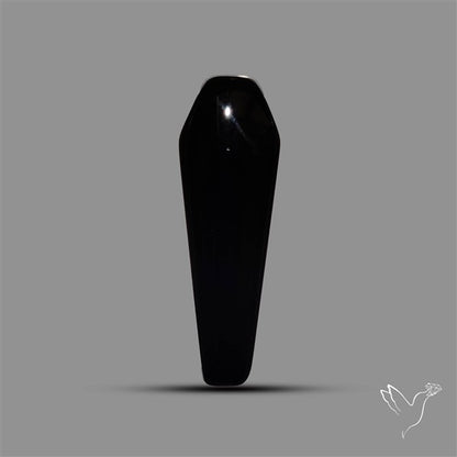 Black Onyx Coffin Shaped Cabochon