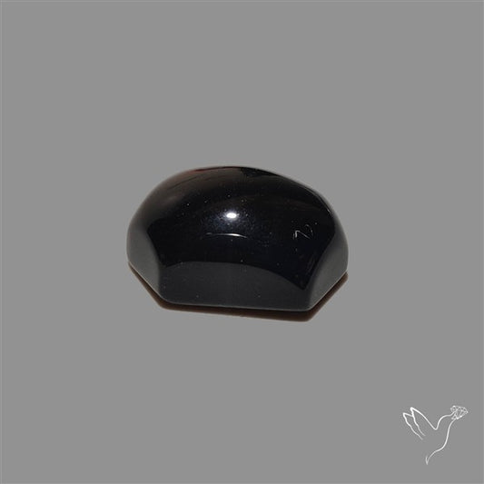 Black Onyx Smooth Cabochon