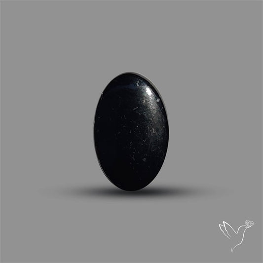 Black Tourmaline Cabochon