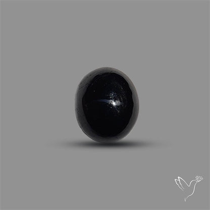 Black Tourmaline Cabochon