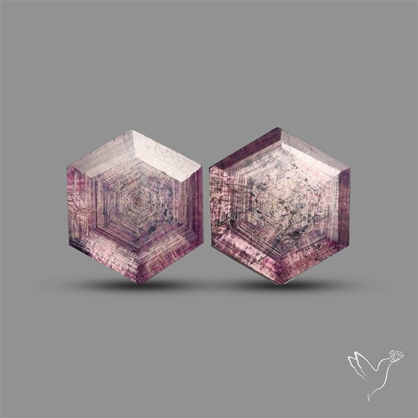 Trapiche Ruby Portrait Cut Flashy Natural Ruby Pair
