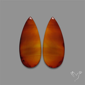 Gem Montana Agate Pair