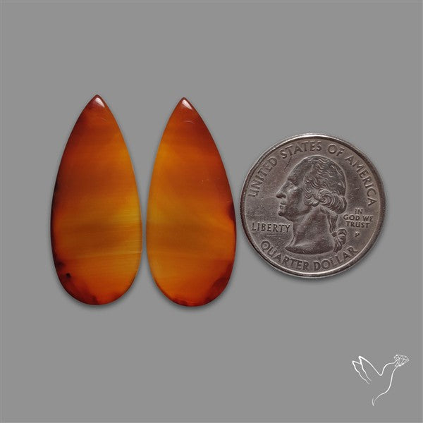 Gem Montana Agate Pair