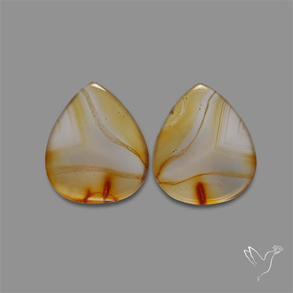 Montana Agate Pair