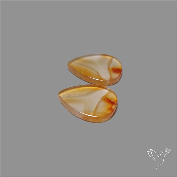 Montana Agate Pair
