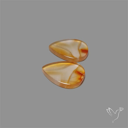 Montana Agate Pair