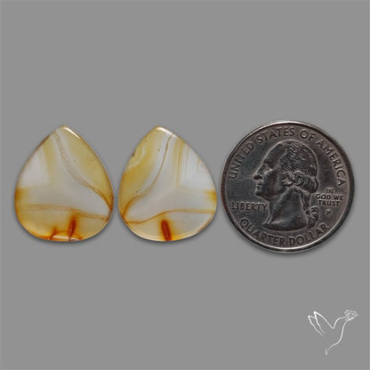 Montana Agate Pair