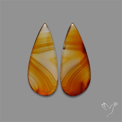 Montana Agate Pair