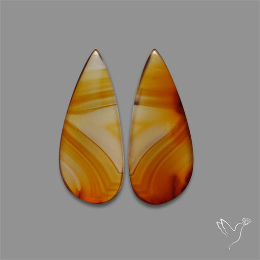 Montana Agate Pair