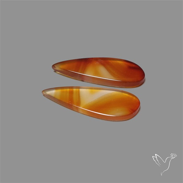 Montana Agate Pair