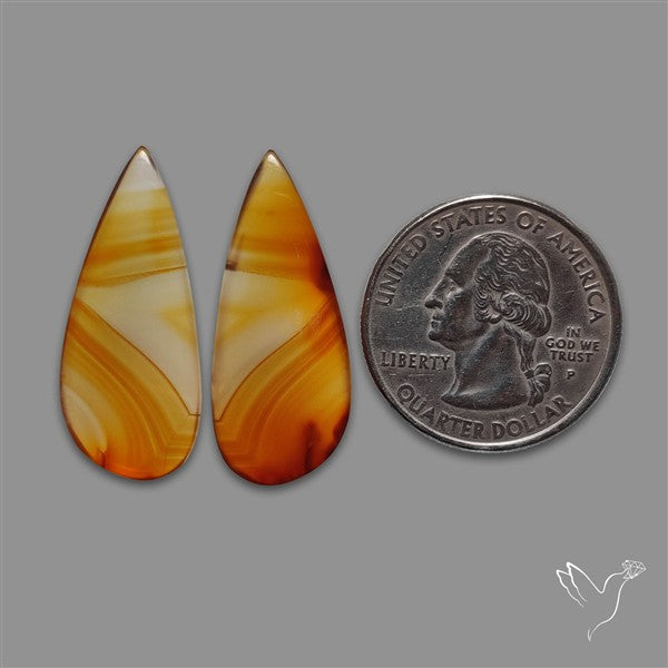 Montana Agate Pair