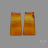 Montana Agate Pair