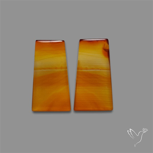 Montana Agate Pair