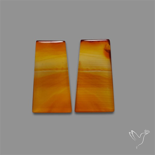 Montana Agate Pair