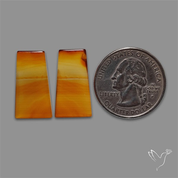 Montana Agate Pair