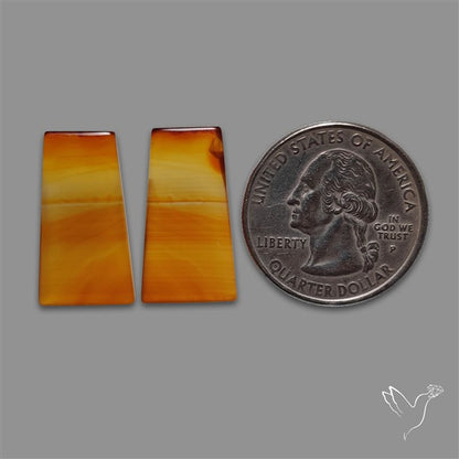 Montana Agate Pair