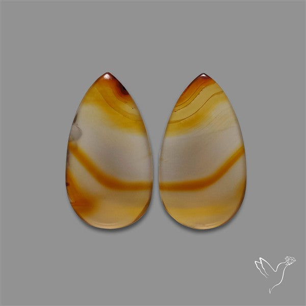 Montana Agate Pair