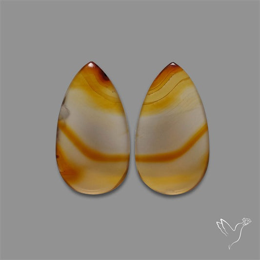 Montana Agate Pair