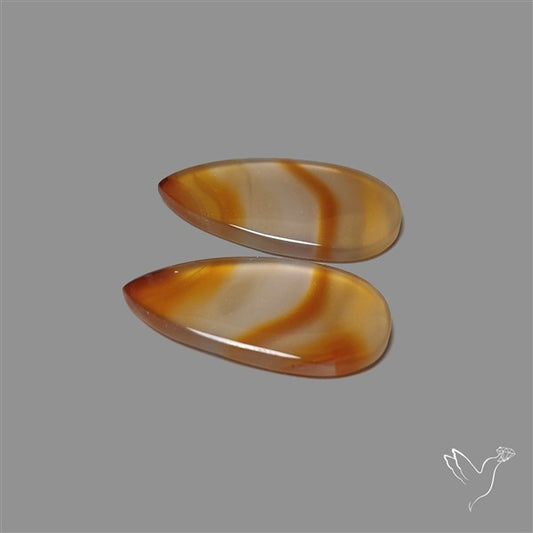 Montana Agate Pair