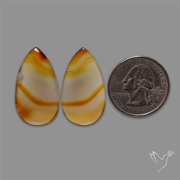 Montana Agate Pair