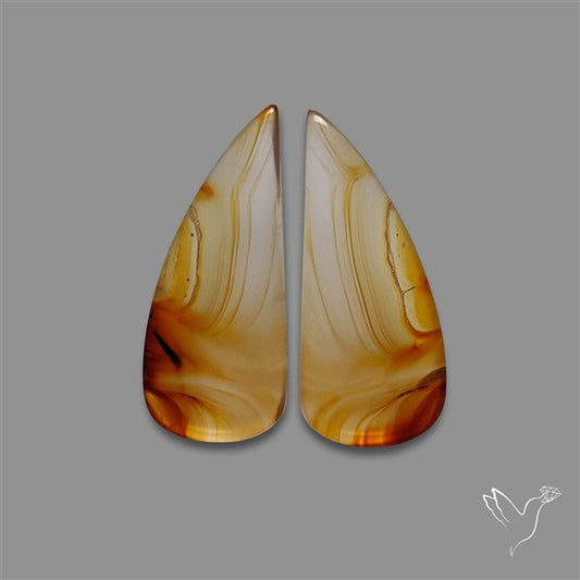 Montana Agate Pair