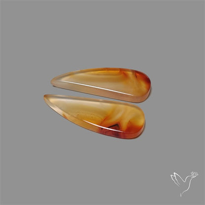 Montana Agate Pair