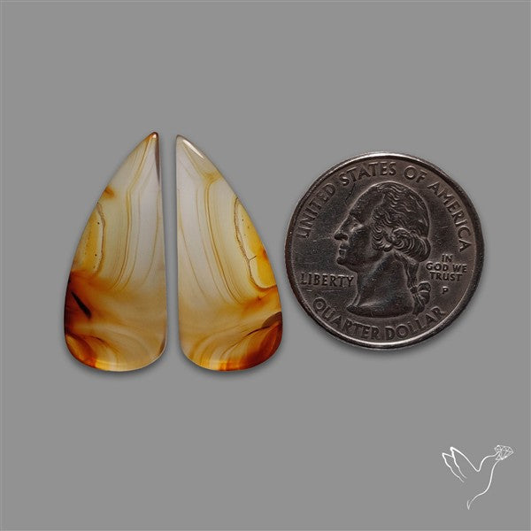 Montana Agate Pair