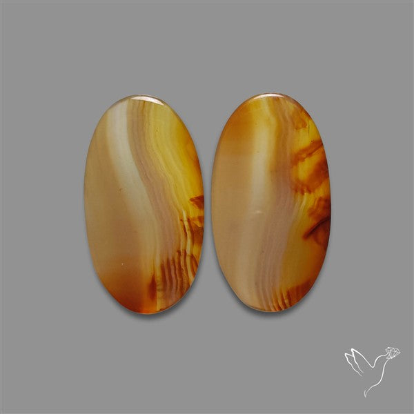 Montana Agate Pair