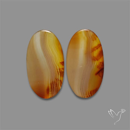 Montana Agate Pair