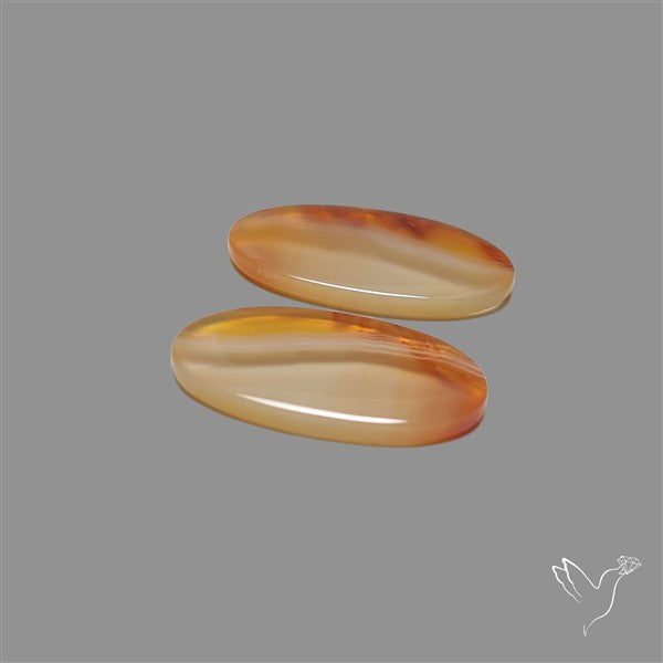 Montana Agate Pair