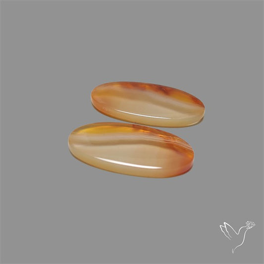 Montana Agate Pair